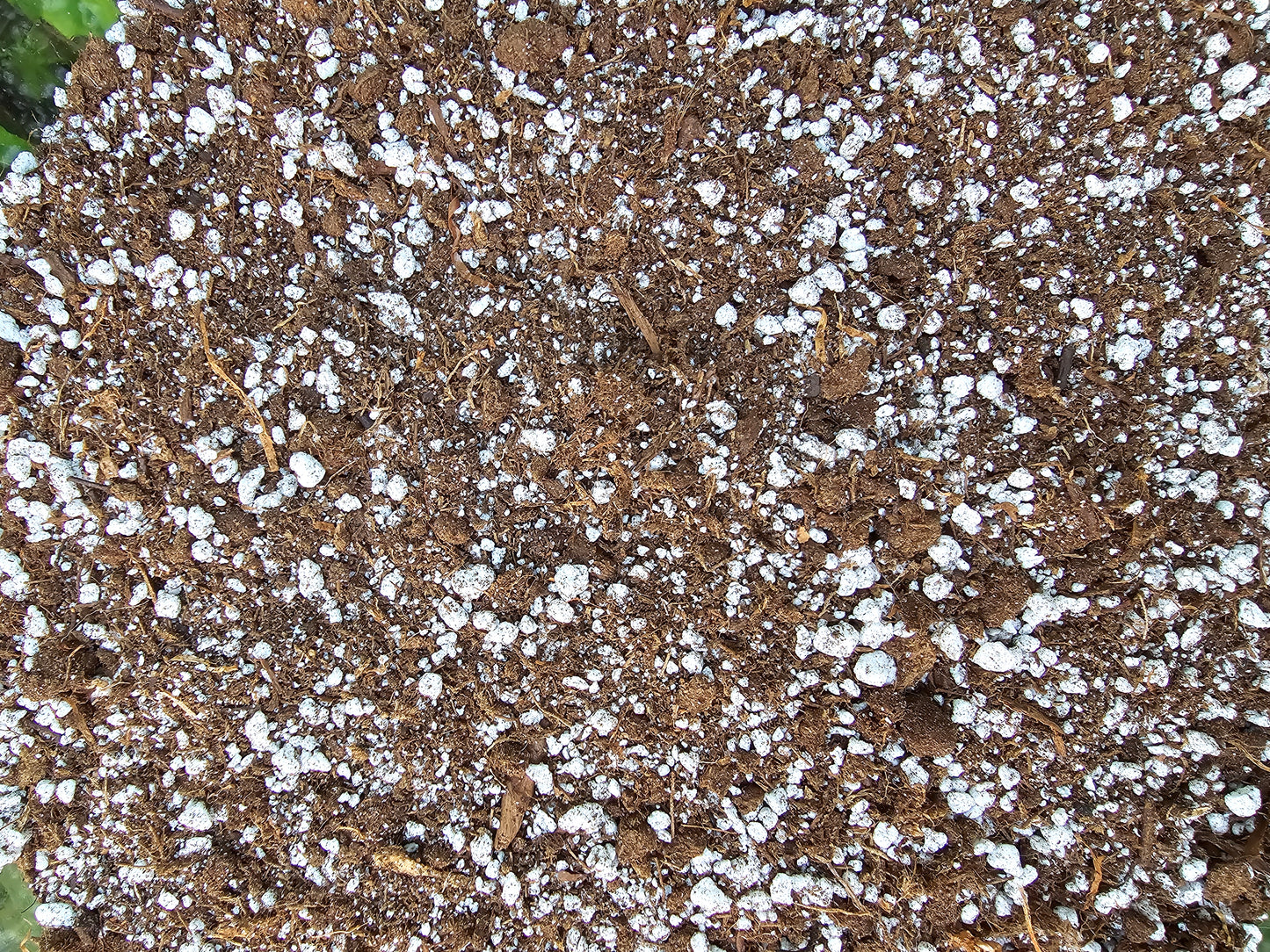 Carnivorous Plant Soil Mix - 3 cups