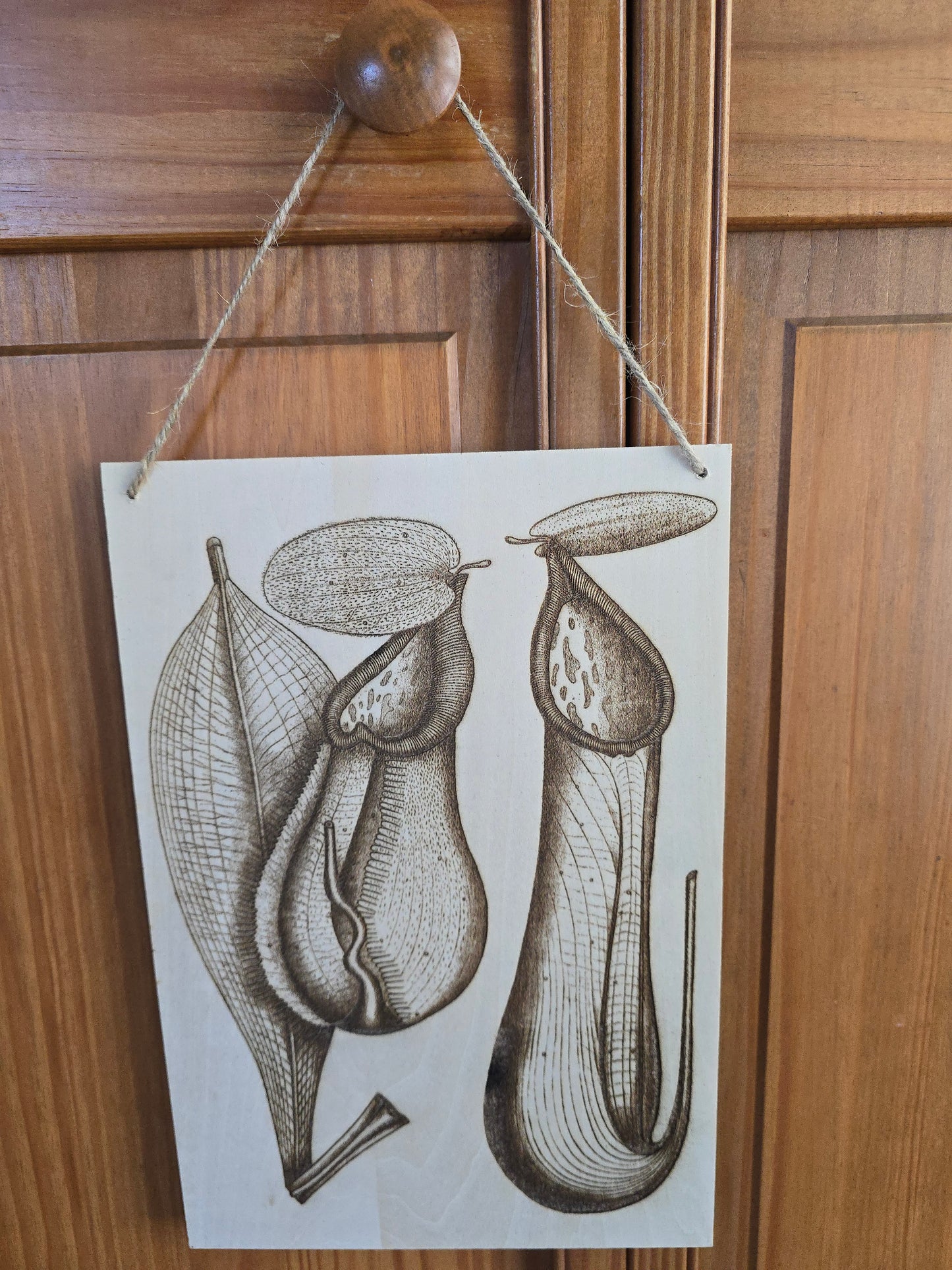 Laser engraved wood picture, Nepenthes, plywood (11 3/4 x 8 x 1/8 in)