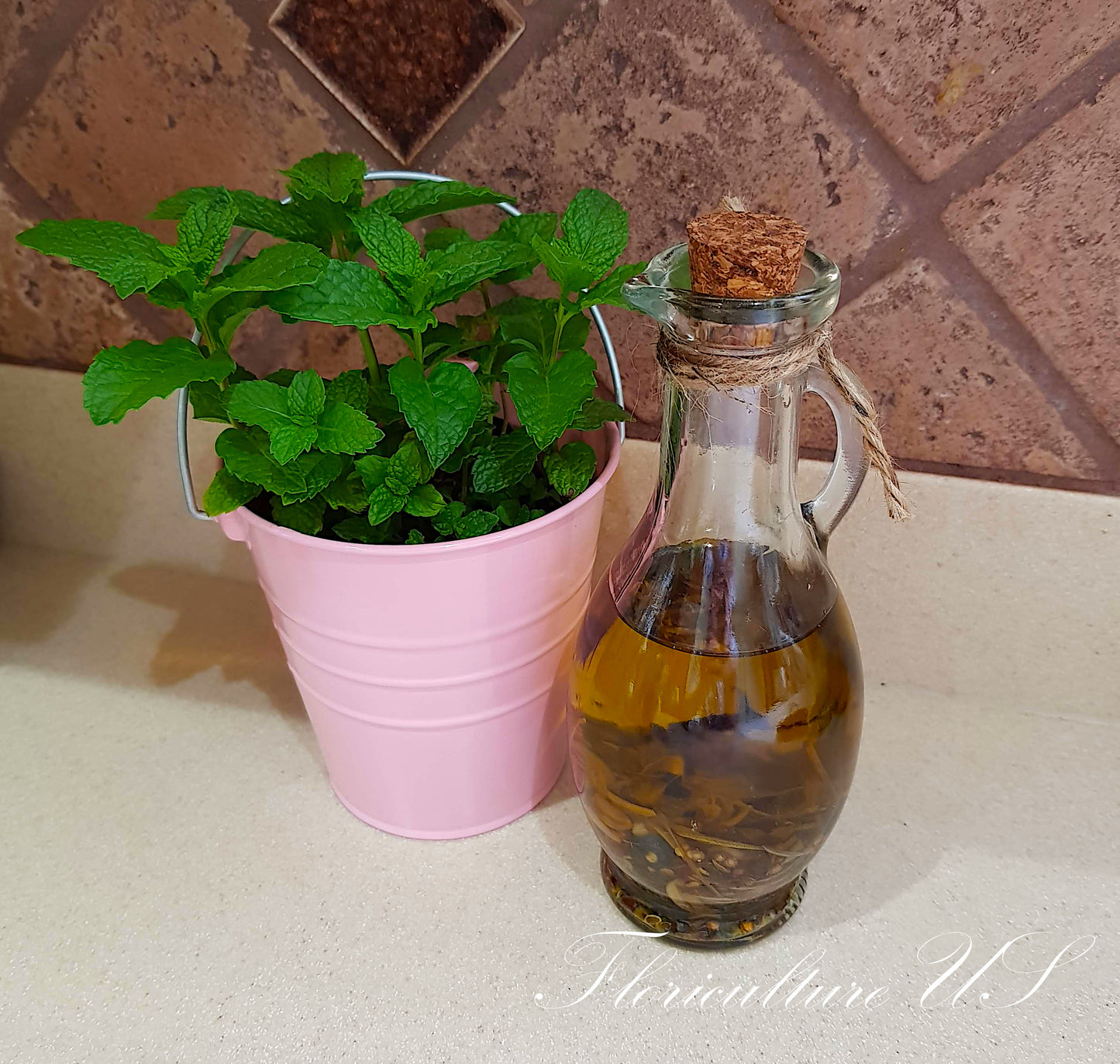 Mentha Peppermint (Mentha x Piperita), Unrooted Cuttings, Live plant, Herb