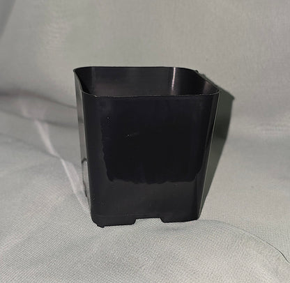 2" Black Square Plastic Pots Nursery Garden Planting Container