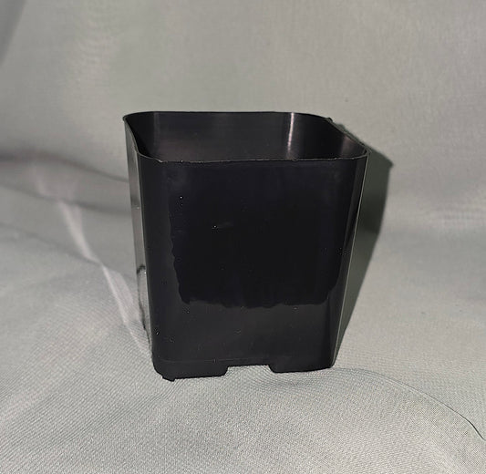 2" Black Square Plastic Pots Nursery Garden Planting Container