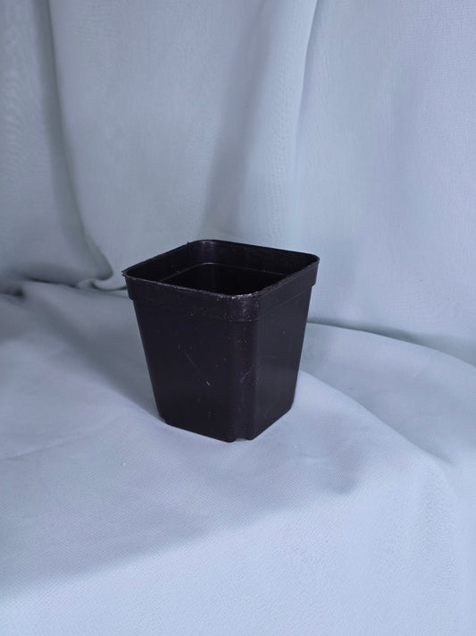 2.75" Black Square Plastic Pots Nursery Garden Planting Container
