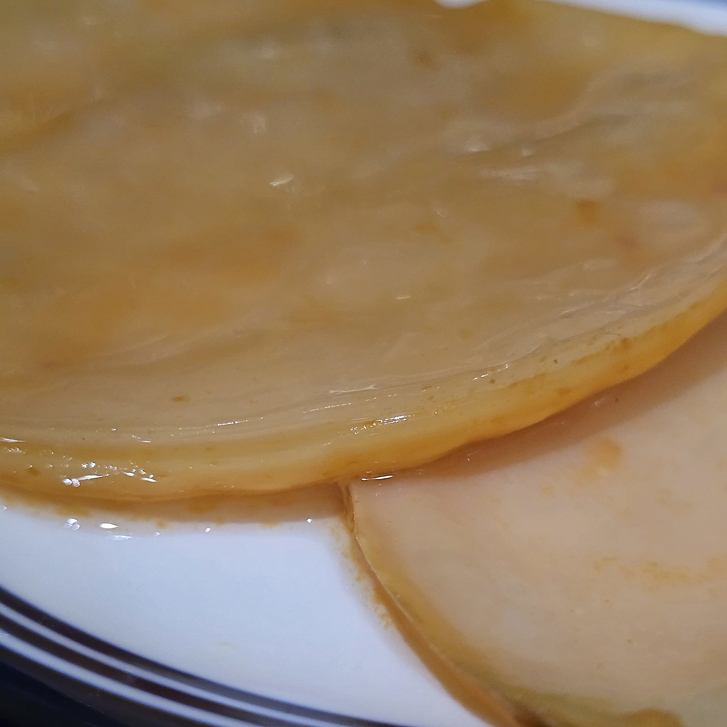 Apple Cider Vinegar Mother SCOBY
