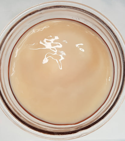 Kombucha SCOBY