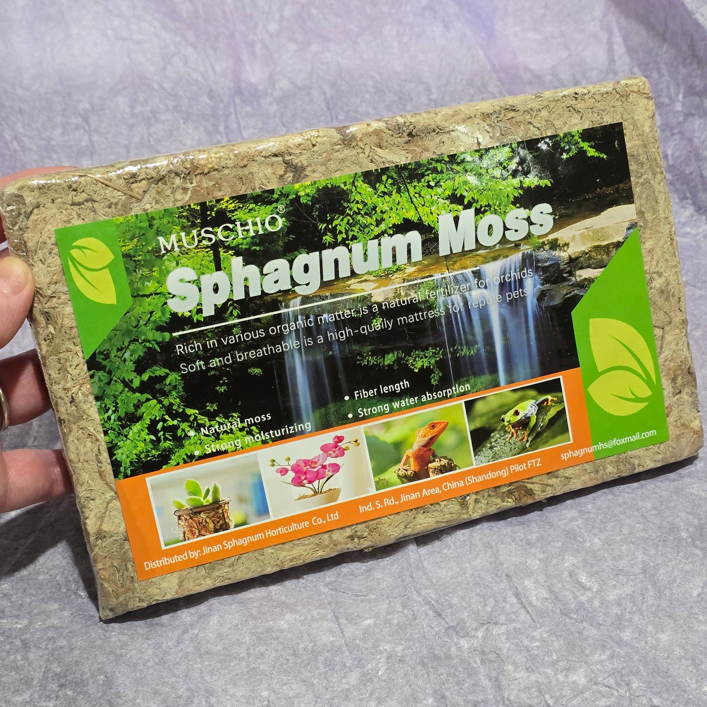 Sphagnum-moss for-sale