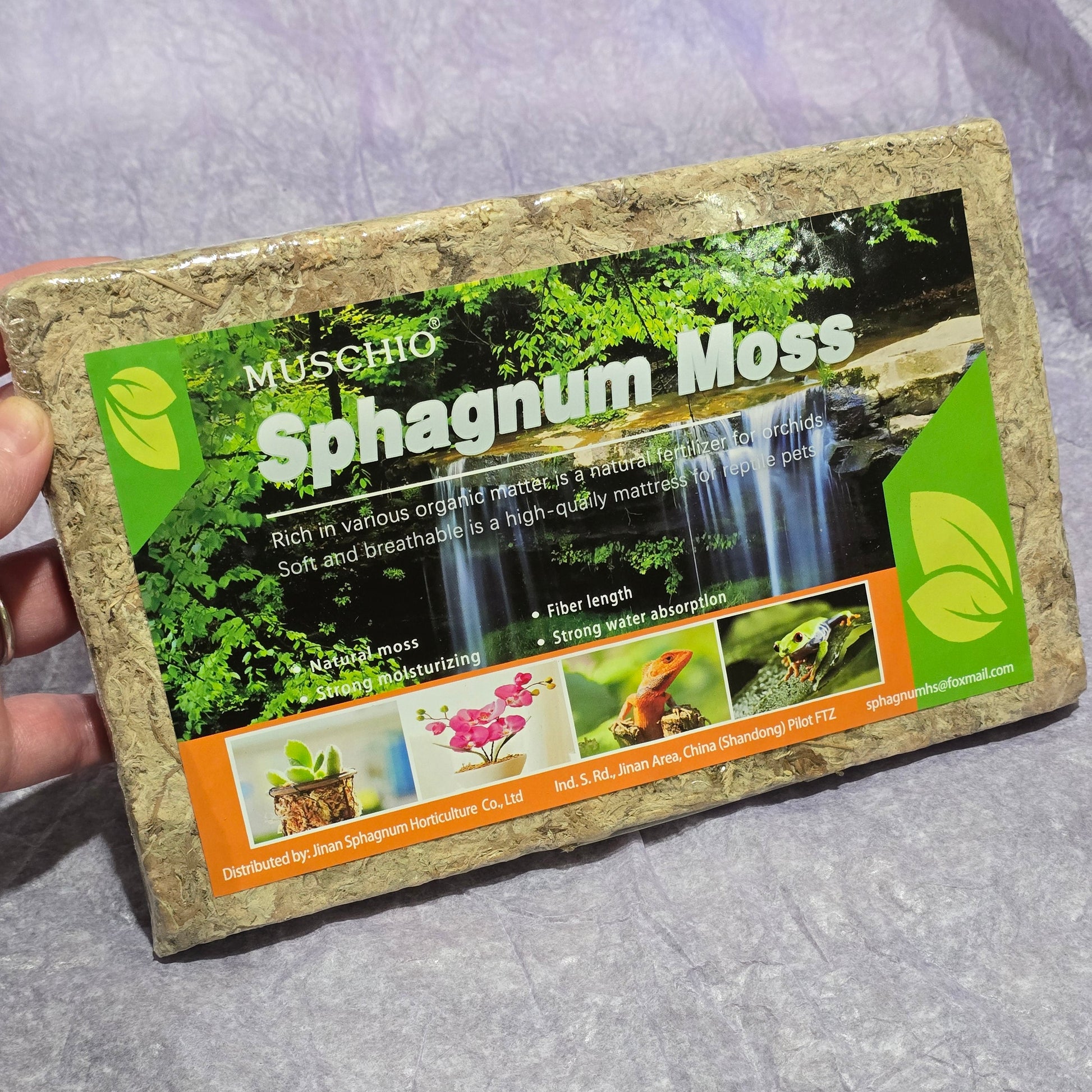 Sphagnum-moss for-sale