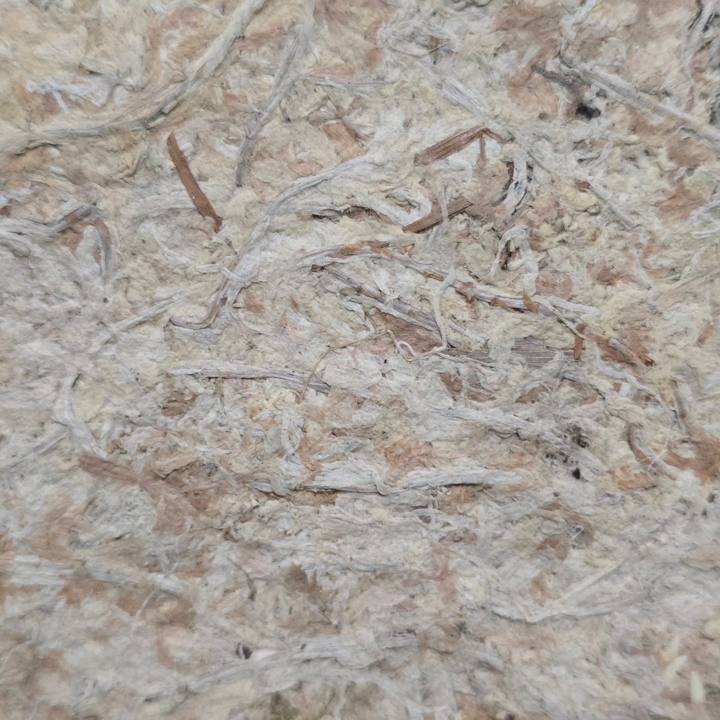 Sphagnum moss, texture, for sale