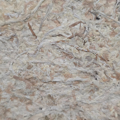 Sphagnum moss, texture, for sale
