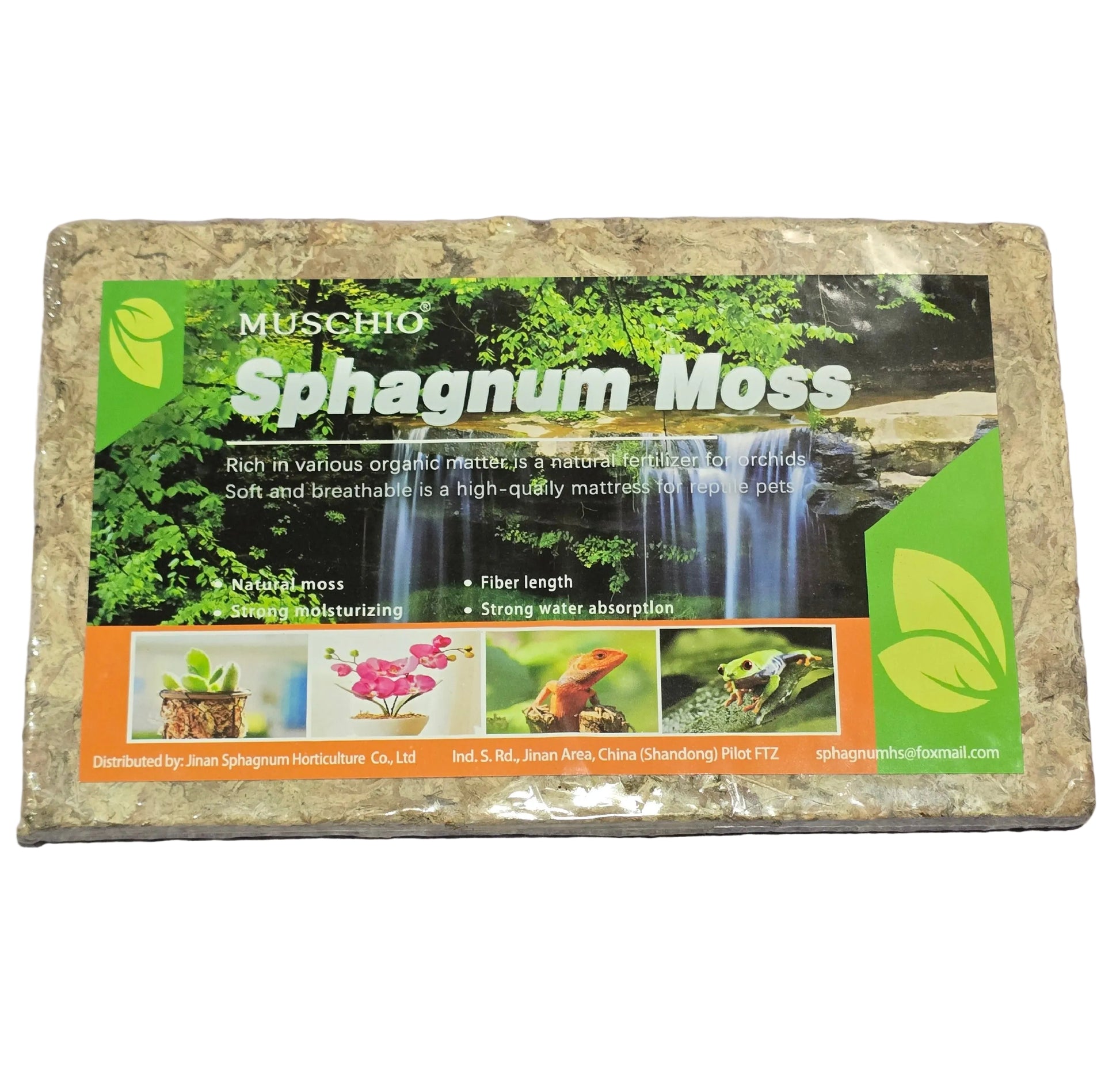 Sphagnum moss for sale