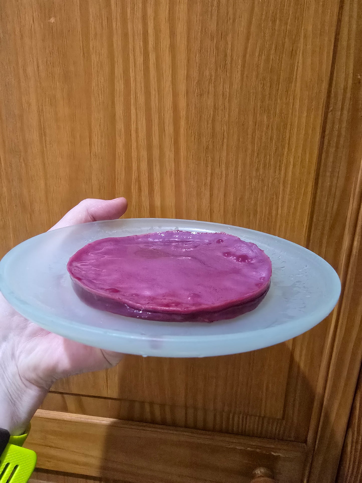 Concentrated vinegar mother culture showing Acetobacter Aceti colonies.