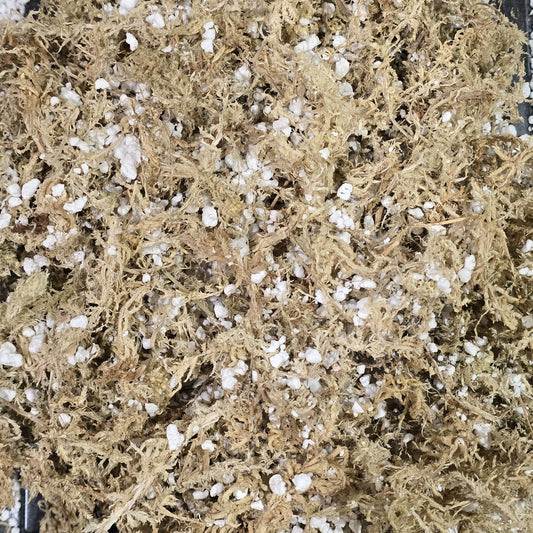 Textured close up of premium dry sphagnum moss and perlite soil mix for carnivorous plants. Lightweight substrate blend details.